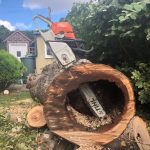 Tree Surgeon Bristol & Bath