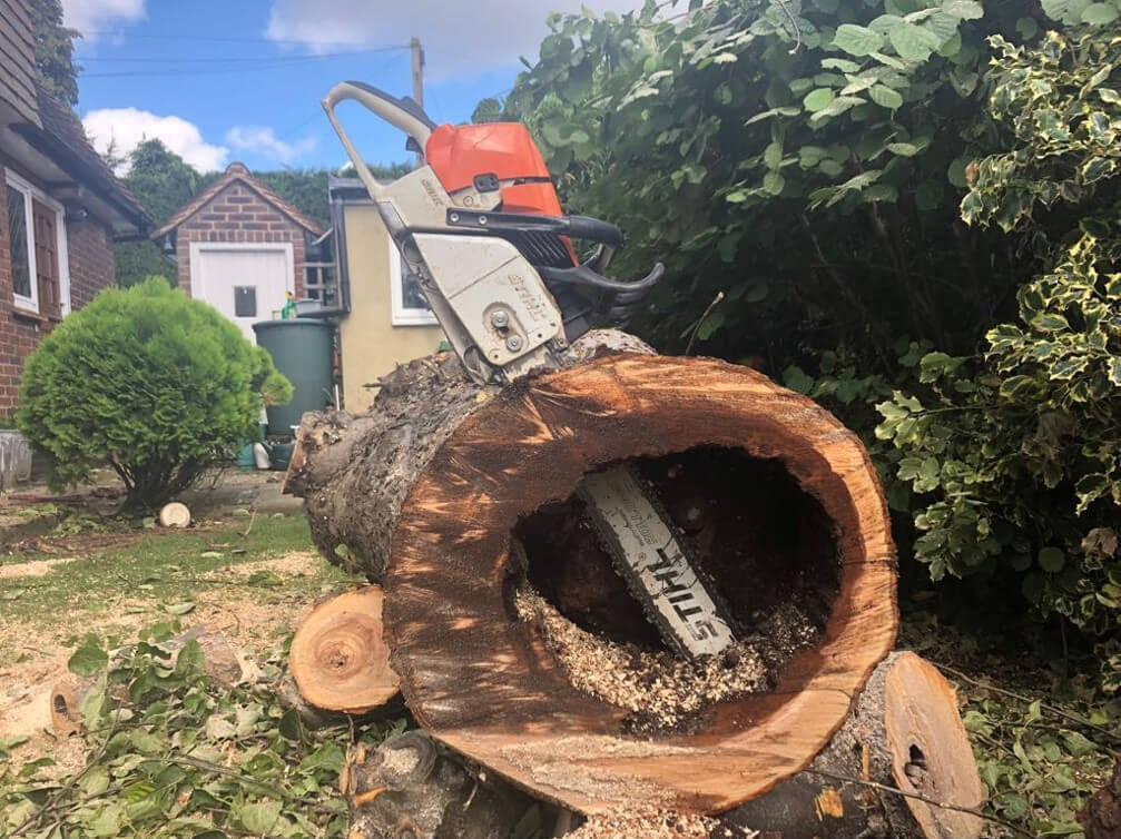 Tree Surgeon Bristol & Bath