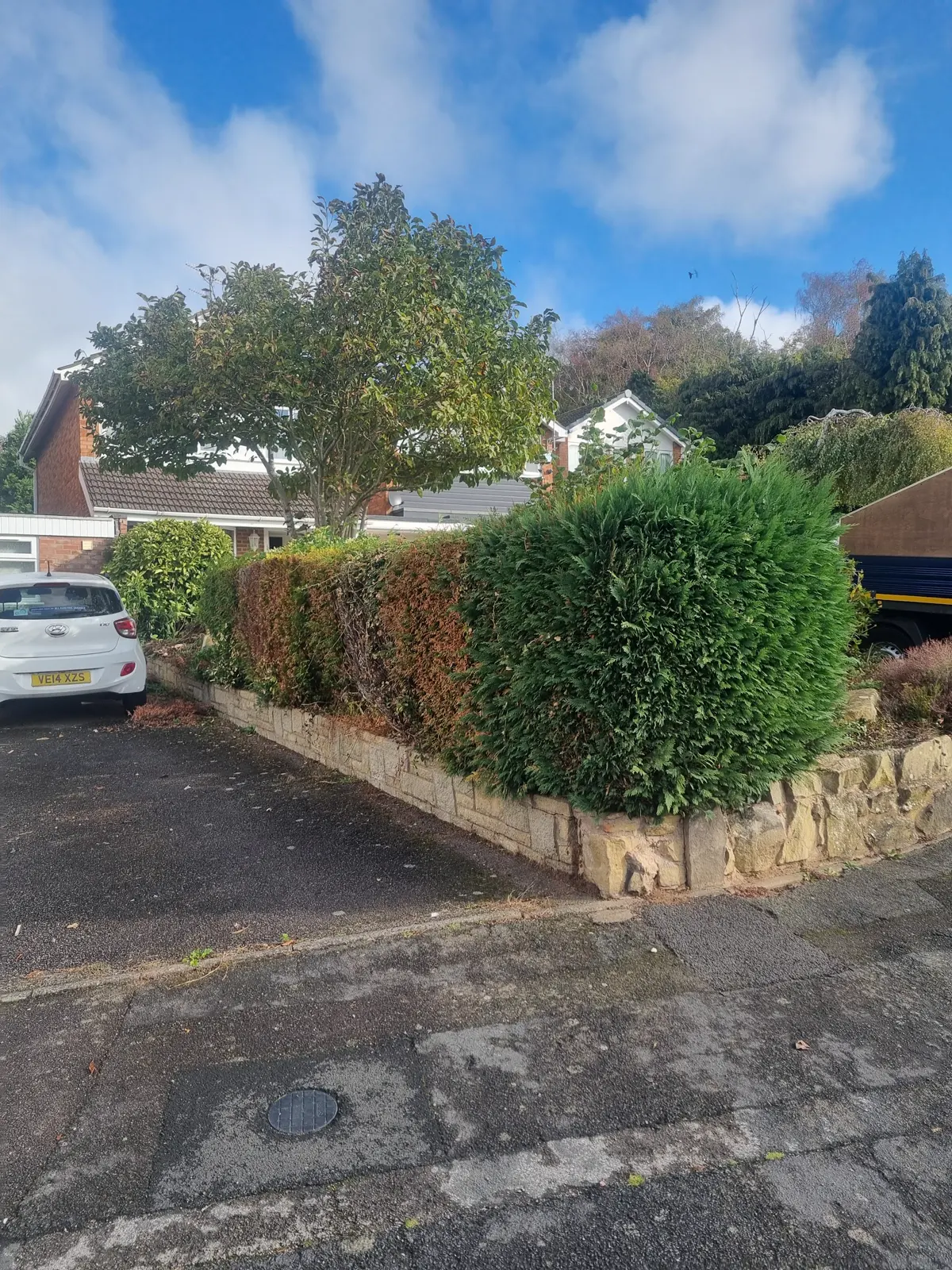 Work by AW Tree Surgery & Garden Care Ltd